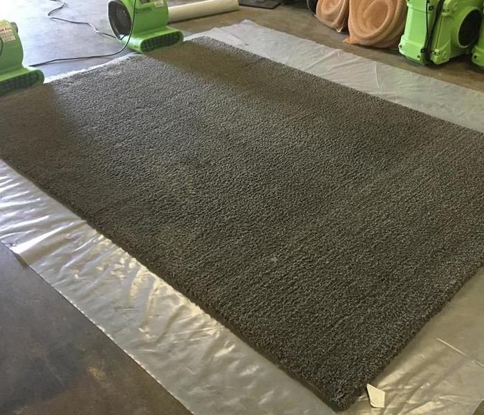 Carpets dried and cleaned