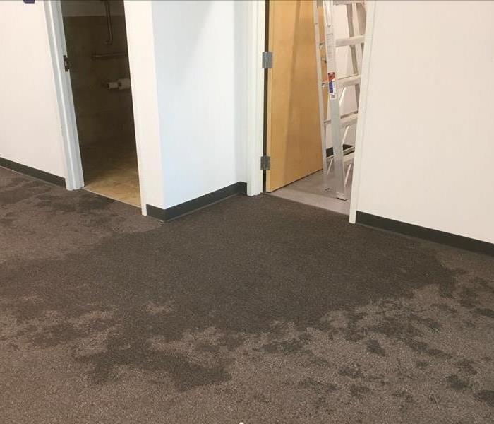 Water leaking through the roof damaging the carpet. 